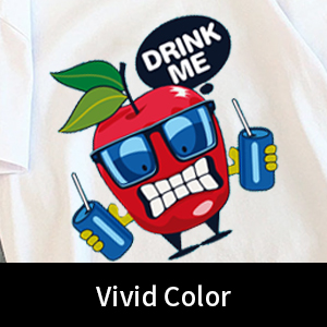 Α4 / Α3 Φόρμα DTF εκτυπωτή Cold Peel 75U πάχος Φόρμα απελευθέρωσης PET μη κολλητική 2