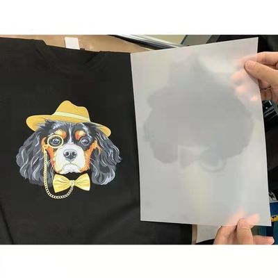 Α4 Α3 PET DTF φιλμ ρολ Ψηφιακό φιλμ εκτύπωσης με μελάνι για L1800 XP600 3880 3800