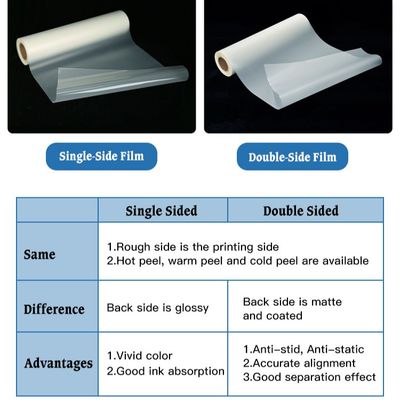Διπλή μονοπλευρή ταινία DTF για ζώα 30CM 33CM 60CM 60CM*100M Roll Heat Transfer 75Micron Hot Cold Peel