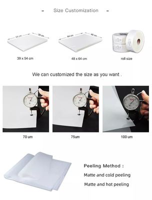 75 μm Matte Polyester Release Film 48*64cm Φόρμα εκτύπωσης Offset για ενδύματα