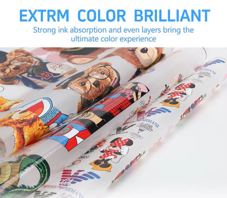 30CM*100M Hot Peel Single Double Side Roll DTF Transfer Film για εκτυπωτή μελάνης DTF